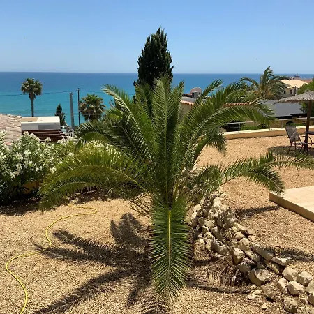 Coveta Paradise * אל קאמפיו